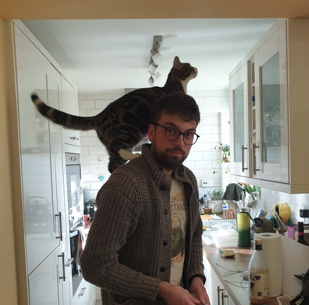 Winston standing on my shoulders in the kitchen, close but refusing to be held