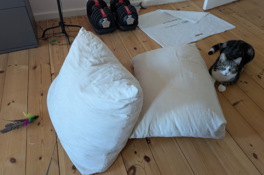 Two large floor cushions propped up with the feather toy beside them, Winston waiting behind